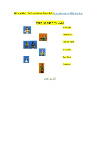 Guck mal diese Biene da