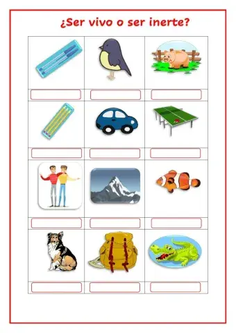 Seres vivos y seres inertes