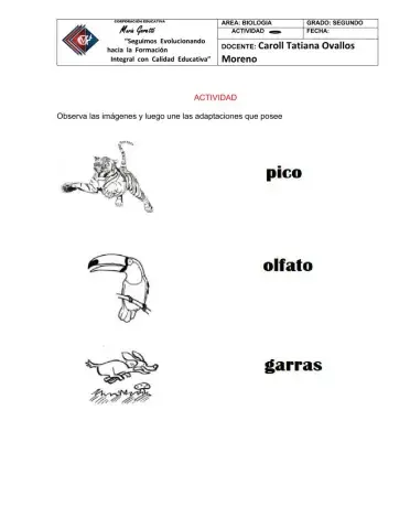 Adaptaciones de los animales