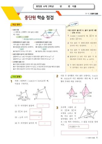 광장중  2학년 수학 도형의 닮음-삼각형의 닮음 조건(중단원 학습 점검 및 익힘책)