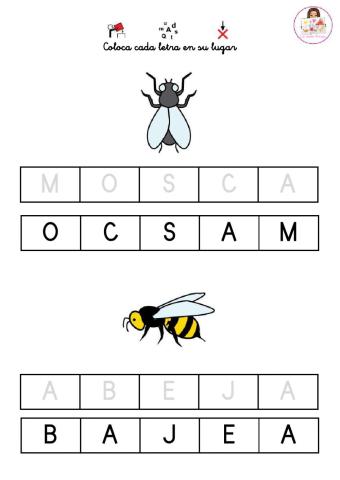Mosca y Abeja