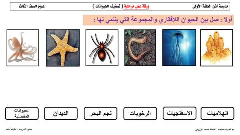 ورقة عمل مرحلية للحيوانات اللافقارية