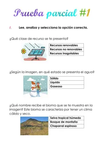Prueba parcial 1, bloque 4