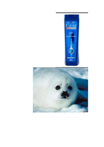 Vocabulary-WayToGo-Unit5