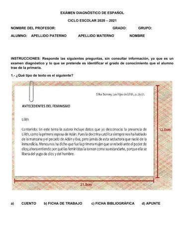 Examen diagnóstico de español