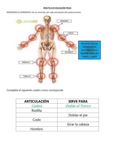 Práctica Movimientos Articulares