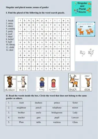 Nouns of Gender and Singular Plural Nouns