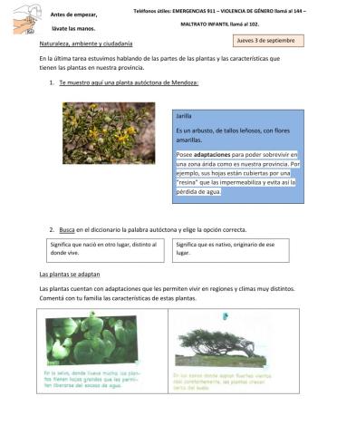 Naturales, plantas autóctonas - Mendoza