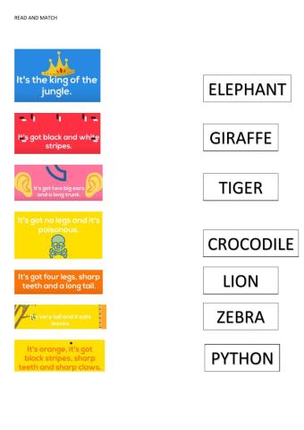 Wild animals descrptions