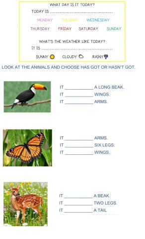 Has got-hasn't got animals