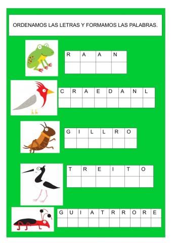 Ordenamos las letras