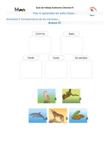 Los animales