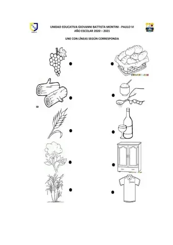 Utilidad de las plantas