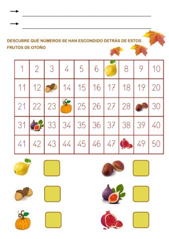 Frutos de otoño