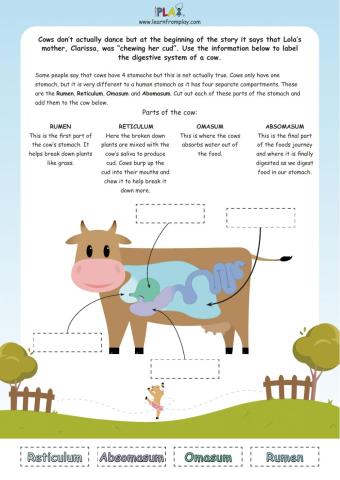 Leaping Lola - Cow Stomach