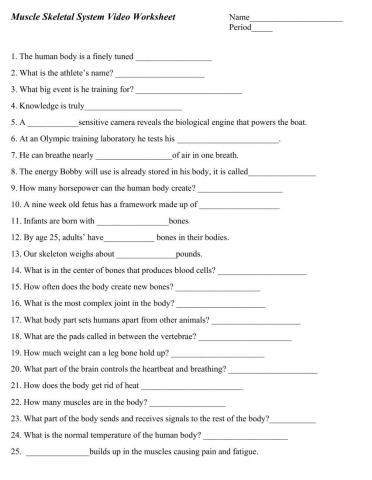 Muscle Skeletal System