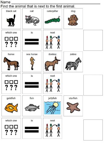 Which one comes next