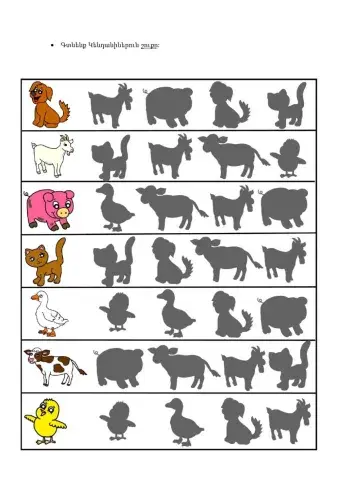 Գտնենք Կենդանիներուն շուքը