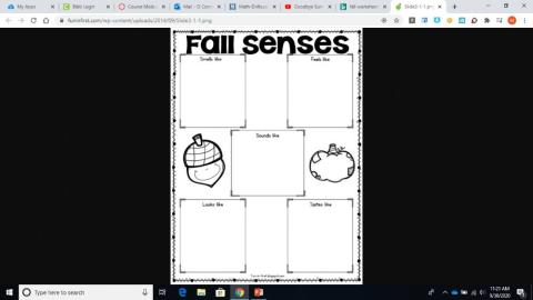 Fall Senses