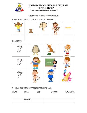 Adjectives and its opposites