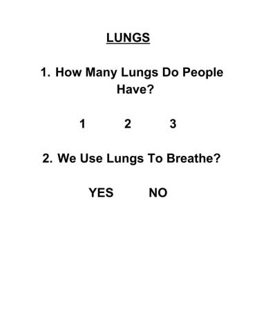 Lungs