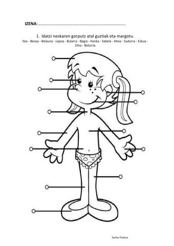 Partes del cuerpo Euskera
