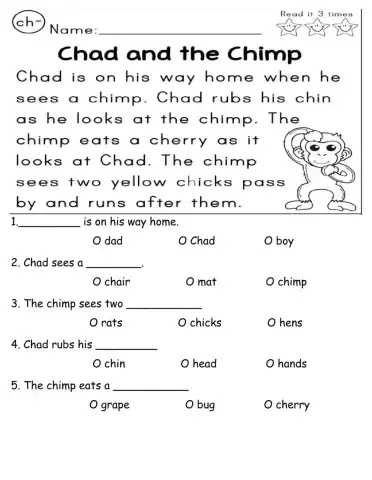 Chad the Chimp Reading