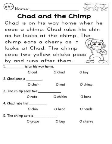 Chad the Chimp Reading