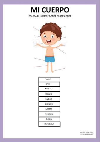 Mi cuerpo- reconocimiento
