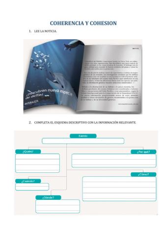 Coherencia y cohesion