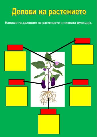 Делови на растението