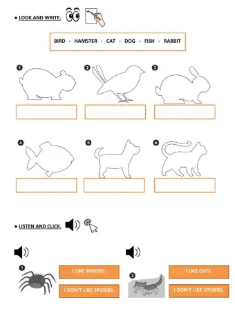 TAREA 2º inglés . Semana 7 de septiembre PETS I LIKE... I DON'T LIKE...