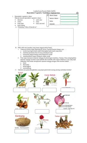 Reproduksi Pada Tumbuhan Angiospermae