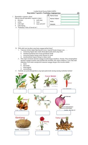 Reproduksi Pada Tumbuhan Angiospermae