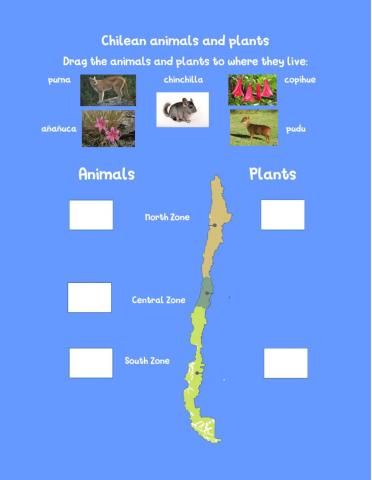 Chilean Animals and Plants