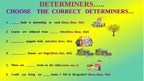 Choose the  correct   determiners...