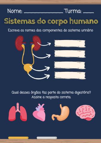 Sistemas do corpo humano