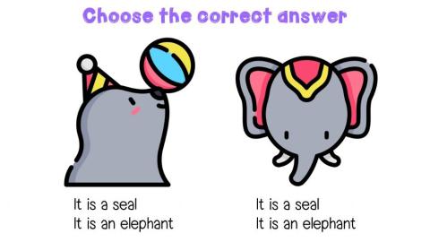 Choose the correct animal