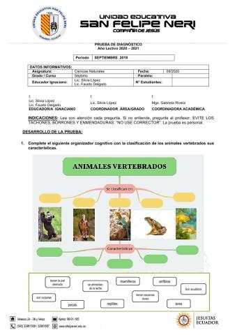 Diagnóstico ccnn - séptimo revisado