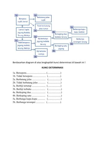 Kunci determinasi ipa kelas 7