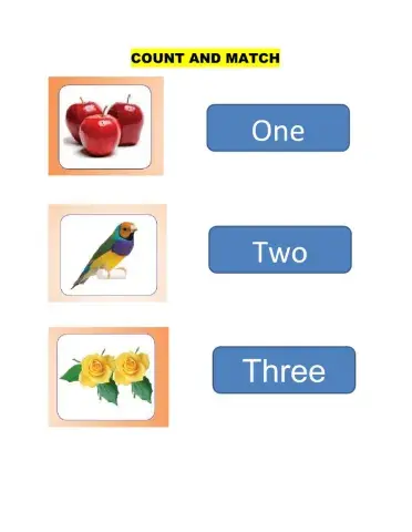 Count and Match  - PG - No -90