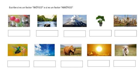 Factores bioticos-factores abioticos