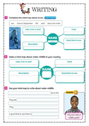 Sea Wildlife animals