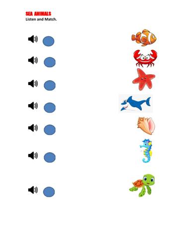 Sea Animals