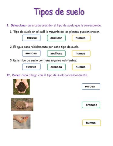 Tipos de suelo