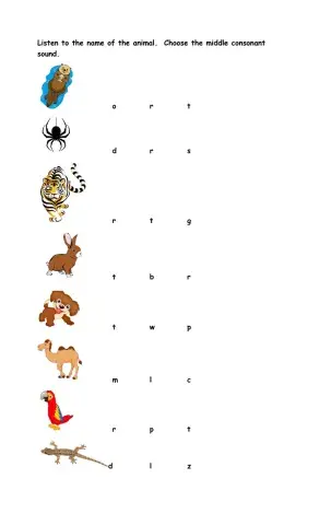 Middle Consonant Sounds