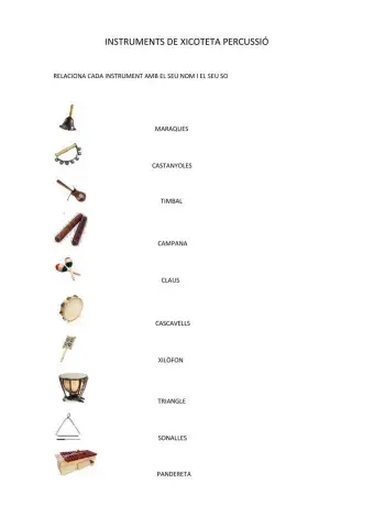 IINSTRUMENTS DE XICOTETA PERCUSSIÓ