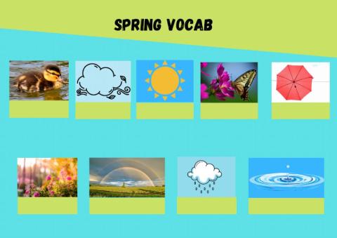 Spring Vocab