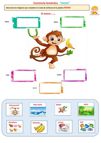Conciencia semántica  palabra mono