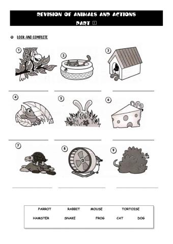 Tuesday, September 8th